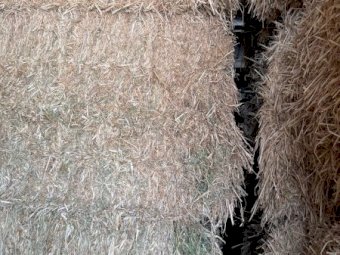 55mt Clover Hay 640kg 8x4x3 Bales