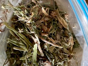 55mt Clover Hay 640kg 8x4x3 Bales