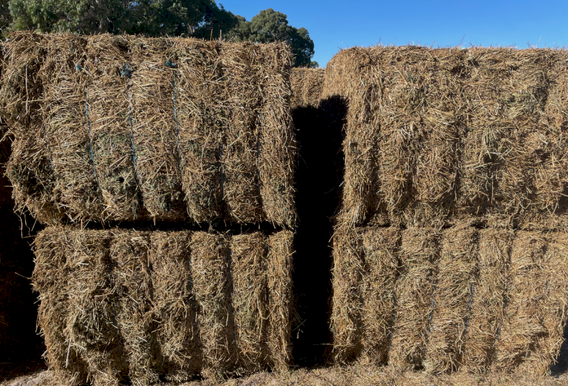 60mt Lucerne Hay 600kg 8x4x3 Bales