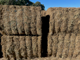 60mt Lucerne Hay 600kg 8x4x3 Bales