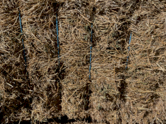 60mt Lucerne Hay 600kg 8x4x3 Bales