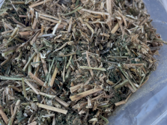 60mt Lucerne Hay 600kg 8x4x3 Bales