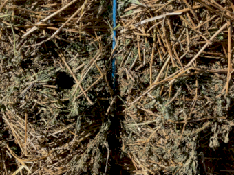 60mt Lucerne Hay 600kg 8x4x3 Bales