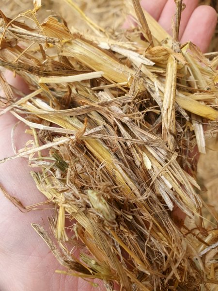 Oaten Hay 8x4x3 Bales