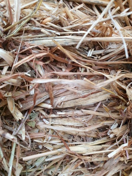 Oaten Hay 8x4x3 Bales