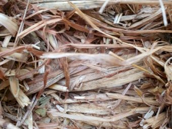 Oaten Hay 8x4x3 Bales