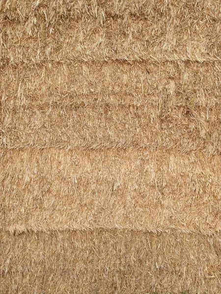 Shedded Export Quality Oaten Hay