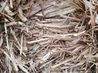Shedded Export Quality Oaten Hay
