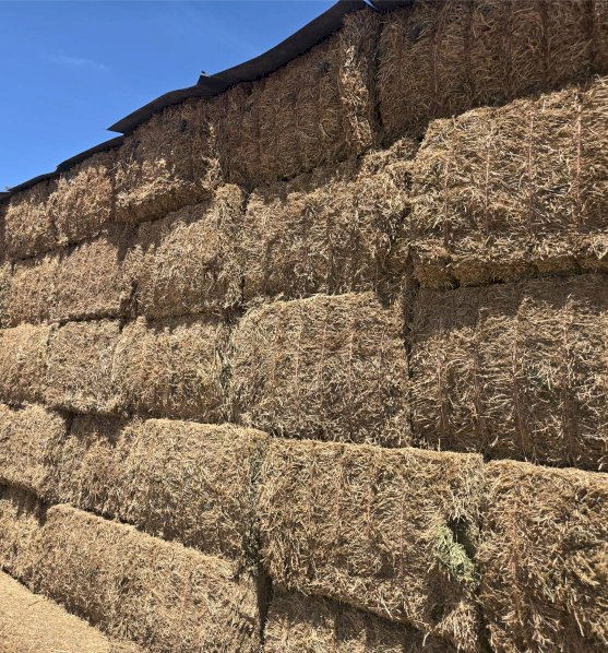 20mt Vetch Hay 550-600kg 8x4x3 Bales