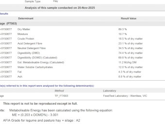 20mt Vetch Hay 550-600kg 8x4x3 Bales