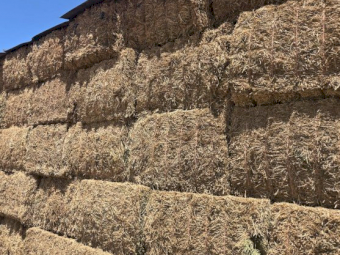 20mt Vetch Hay 550-600kg 8x4x3 Bales