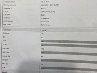 Barley Straw 8x4x3 Bales