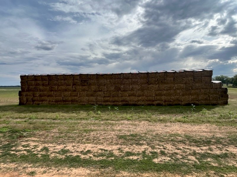 150MT X Mix of Cereals / Vetch  8X4X3 Large Square Bales.