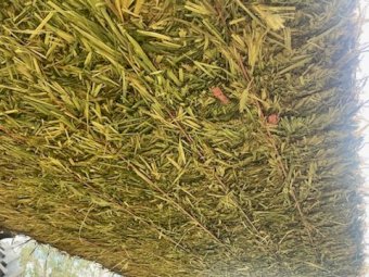 150MT X Mix of Cereals / Vetch  8X4X3 Large Square Bales.