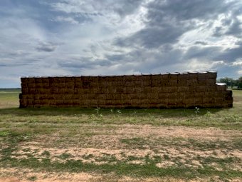 150MT X Mix of Cereals / Vetch  8X4X3 Large Square Bales.