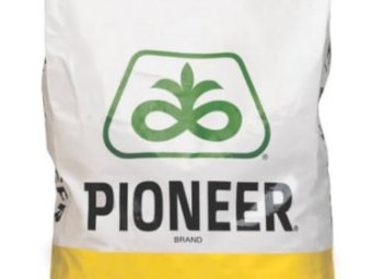 280 KG's Pioneer PY520TC Canola Seed