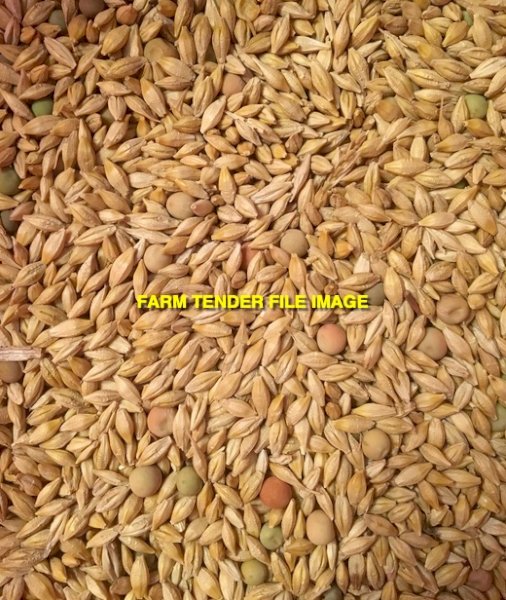 15mt Barley Vetch Mix