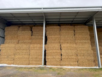 25/26 Season Oaten Hay