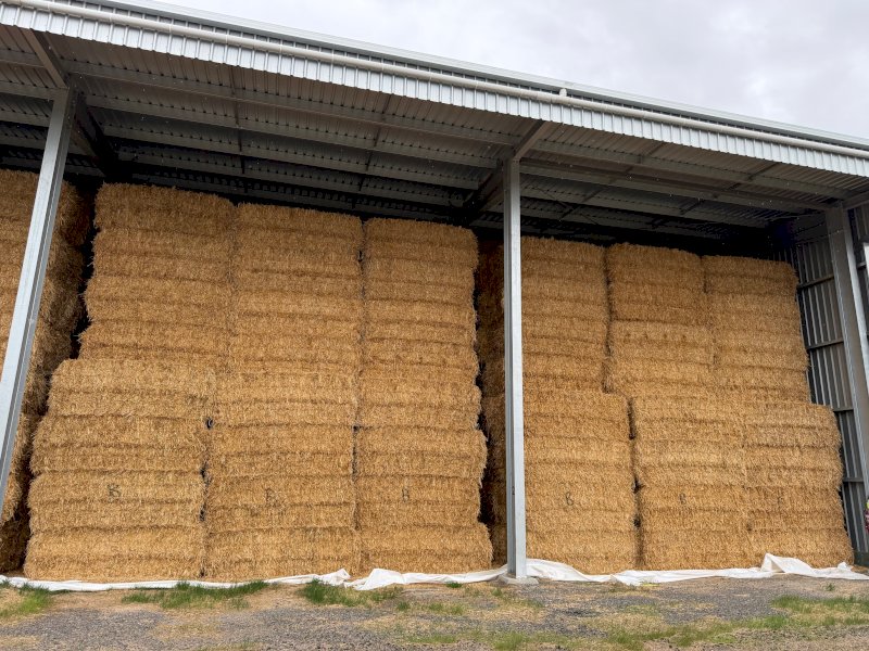 Oaten Hay 8x4x3 Bales