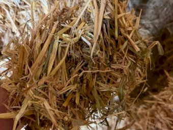 Oaten Hay 8x4x3 Bales