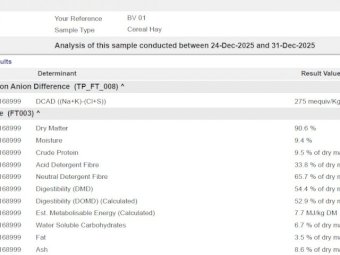 Oaten Hay 8x4x3 Bales