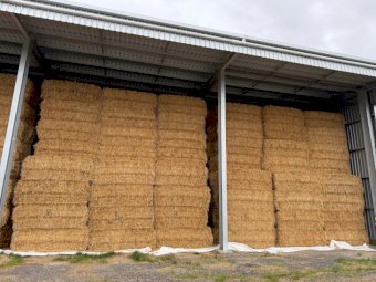 Oaten Hay 8x4x3 Bales
