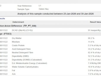Oaten Hay 26' Season