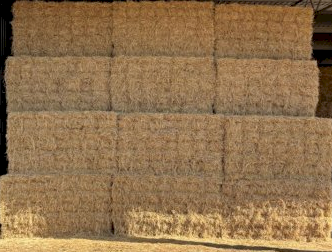 EOI Mulched Rice Straw 8x4x3 Bales