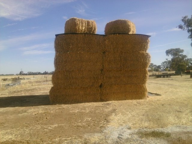 WANTED Organic Oaten Hay (USDA and NOP Accredited or in transition)