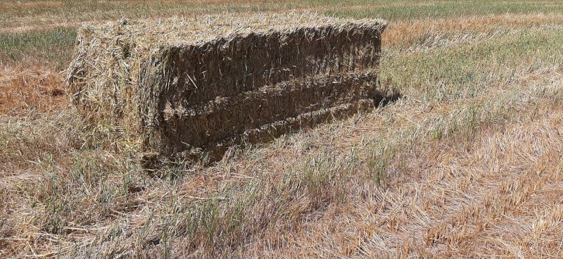 30mt Oaten Hay 550kg 8x4x3 Bales
