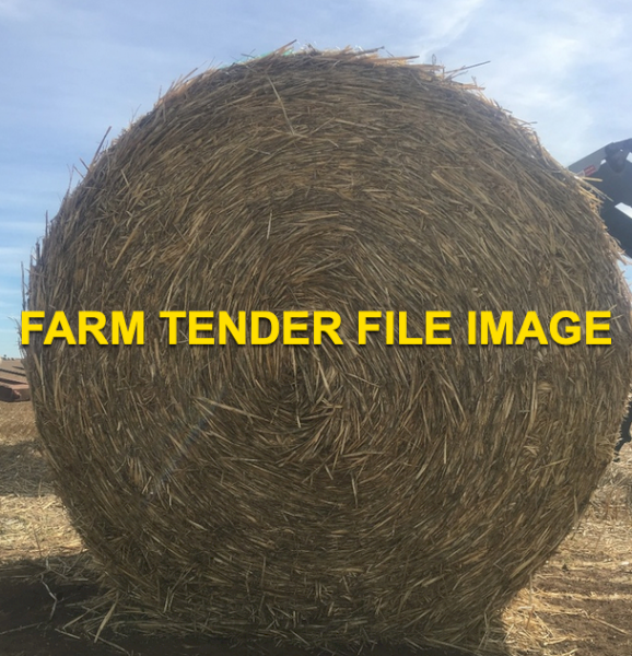 50mt Barley Straw 250kg 5x4 Round Bales