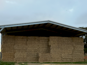 200mt Oaten Hay 500kg 8x4x3 Bales