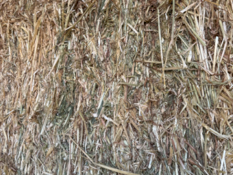 200mt Oaten Hay 500kg 8x4x3 Bales