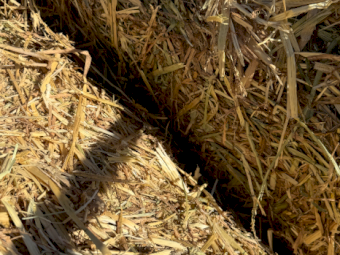 200mt Oaten Hay 500kg 8x4x3 Bales