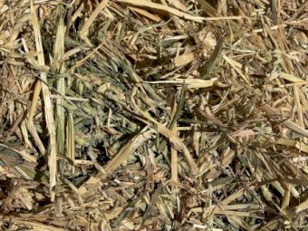 200 m/t Oaten Hay 26 Season