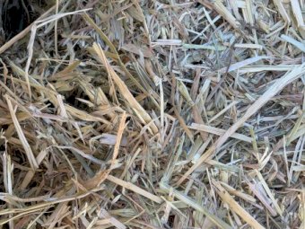 200 m/t Oaten Hay 26 Season