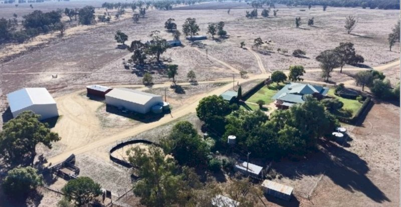 Blue Ribbon Mixed Farming Country Narromine NSW