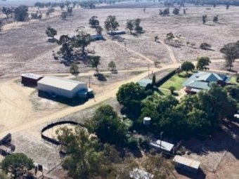 Blue Ribbon Mixed Farming Country Narromine NSW