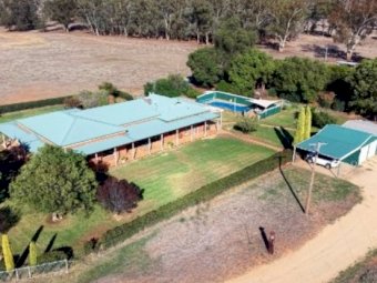 Blue Ribbon Mixed Farming Country Narromine NSW