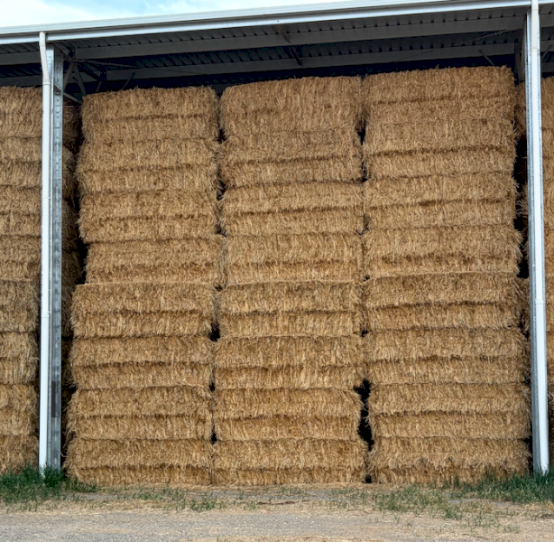 500mt Oaten Hay 650-700kg 8x4x3 Bales