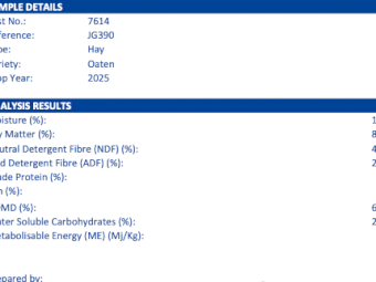 500mt Oaten Hay 650-700kg 8x4x3 Bales