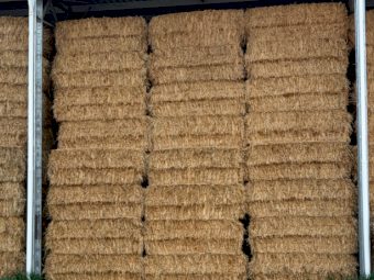 500mt Oaten Hay 650-700kg 8x4x3 Bales