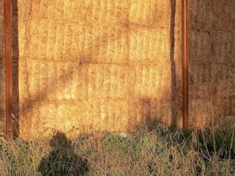 90MT Lucerne Hay 8X4X3 Large Square Bales