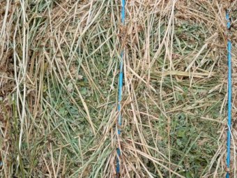 90MT Lucerne Hay 8X4X3 Large Square Bales