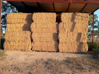 90MT Lucerne Hay 8X4X3 Large Square Bales