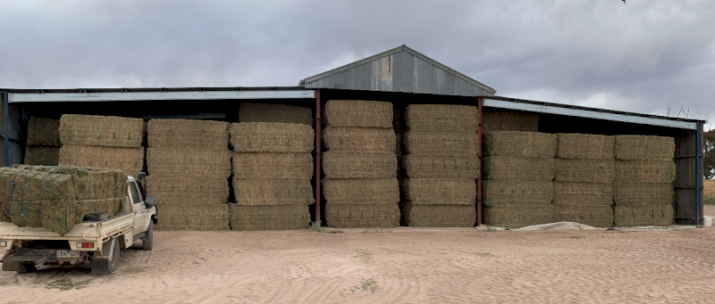 300mt Vetch Hay 650-700kg 8x4x3 Bales