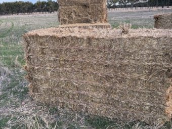 60mt Wheaten Hay 600kg 8x4x3 Bales