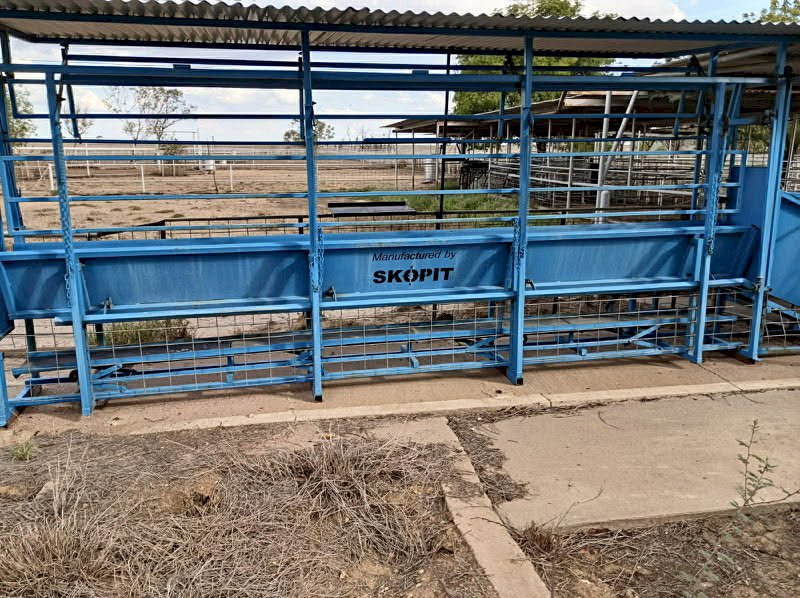 Skopit Goat/sheep lifter