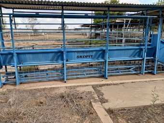 Skopit Goat/sheep lifter