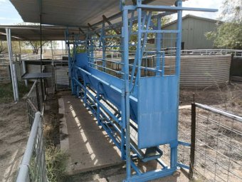 Skopit Goat/sheep lifter